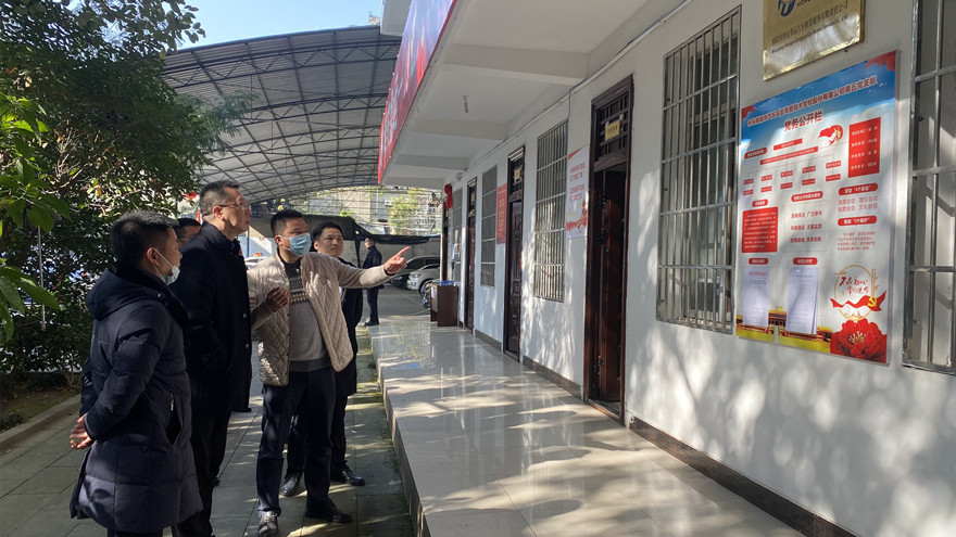 集團黨委副書記、工會主席張雁調(diào)研鴻安鼎運公司-查看黨建情況_副本