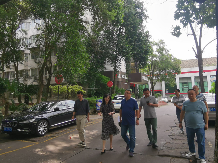 集團黨委委員、副總經理倪丹帶隊檢查資產公司管轄資產_副本