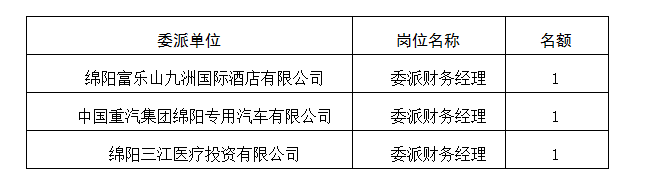 委派財務(wù)經(jīng)理5.11